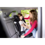 Joie - Scaun auto i-Trillo FX Thunder, 100-150 cm, certificat R129