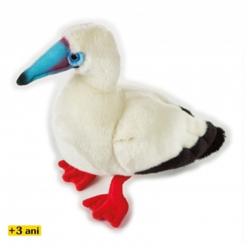 National Geographic Pasare picioare rosii de Galapagos Jucarie din plus