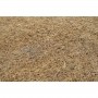 Babyneeds Saltea pentru copii Cocos Confort II 120x60x10 cm