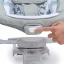 Ingenuity   Leagan si balansoar transformabil 2 in 1 Raylan