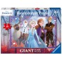 Ravensburger PUZZLE FROZEN II, 60 PIESE