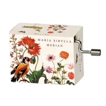Fridolin Flasneta Maria Sibylla Merian (pasari), Vivaldi Spring