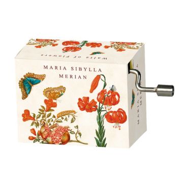Fridolin Flasneta Maria Sibylla Merian (fluturi), Tchaikovsky Walts of flowers