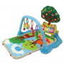 Vtech Covoras Joaca 190603