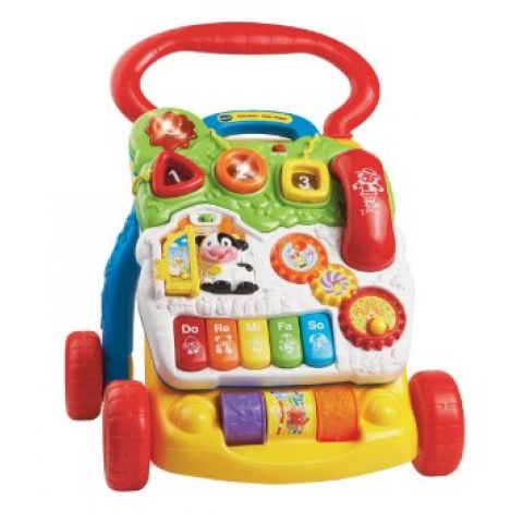 Vtech Premergator Primii Pasi VT77012