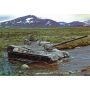Revell Model Set Tanc Leopard 1 3240